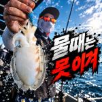 [배쯔호] 9월20일 갑오징어 낚시