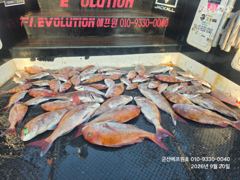 9월20일 팀에프원 정기출조 참돔타이라바