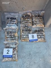26년 9월 20일 당진 장고항 해안선호 쭈꾸미 조황
