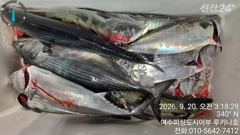 토요일 출조 대박 조황 입니다.월요일 부터 자리 여유.여수피싱도시어부 16석 루키나호