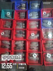 [팁런] 악조건에도.마리수(오늘.소수인원.출조확정) 사진
