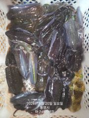 철수시간 마지막 피딩. 2시간 연장~~
