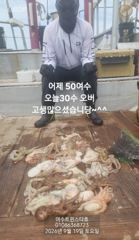 여수돌문어 대박행진ㆍ추석당일새벽00시출항자리가능