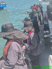 [군산비응항 낚시사냥꾼 에이스호] 19일 쭈꾸미 조황