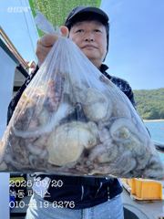 20일 문어 조황입니다.