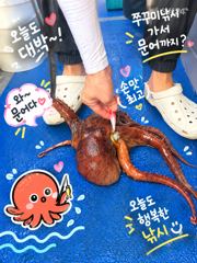 2026년9년19일 조황 당진나르샤호 사진