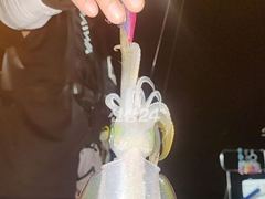 [통영] [무늬] 20일.. 살아나는 무늬조황입니다. 21일 …