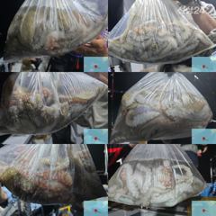 [사천] 20일(일): 야간문어 조황, 씨알 마리수 좋습니다. 사진