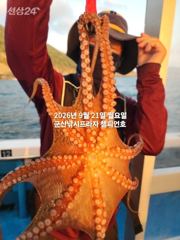 21일 주간문어~안정권~돋보이는 덩치급 문어들~망탱이조황~ 군산낚시프라자 챔피언호 사진