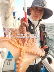 21일 주간문어~안정권~돋보이는 덩치급 문어들~실시간 조황~ 군산낚시프라자 챔피언호 사진