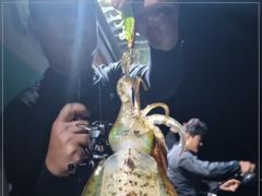 1   [통영] 무늬 "대박"~ 오늘 17시 출조 1