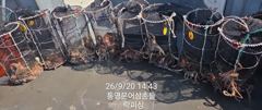 (문어)연타작령~냉장고 포인트 K급까지 쩍쩍~락피싱(22일 예약)