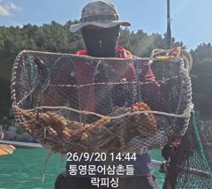 [통영] (문어)연타작령~냉장고 포인트 K급까지 쩍쩍~락피싱(22일 예약…