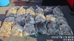 <볼보호> 쭈꾸미 종일 마무리 조황(21일)-즐낚하고 입항했습니다 사진