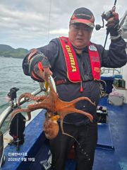 [진해문어낚시] 묵직하게 올라오는 돌문어 찐한 손맛보러 내일도 달립니다^0^