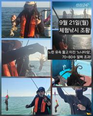 [피닉스피싱호] 9월 21일(월) 체험낚시 조황 - 느린 유속 뚫고 터진 `느나타임`, 70~80수 알짜 조과! 사진