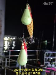 21일 12분 모시고 쭈꾸미 출조 가지줄에 16호 봉돌 이런 채비 봤어요? 사진