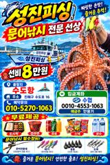오늘 야간문어.출항. 확정 사진