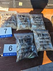 26년 9월 21일 당진 장고항 해안선호 쭈꾸미 조황