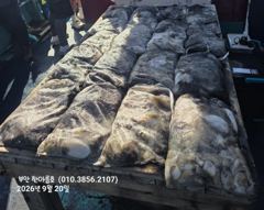 9월21일 부안 한아름호 쭈꾸미(갑이 이벤트) 사진