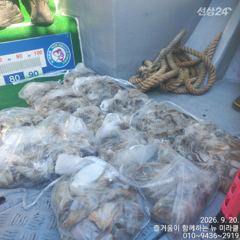20일 뉴미라클 단체 주꾸미