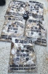 9월21일 뉴해성호 쭈꾸미 조황 사진