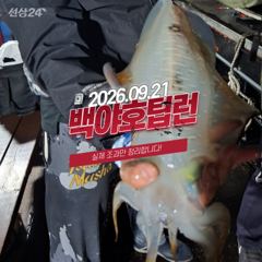 [백야호] 09.21 제주 무늬오징어 팁런 조황 사진