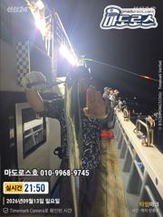 마도로스호 텐야텐빈 수요일부터 출항합니다 사진