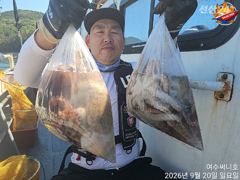 20일 문어조황입니다. 사진