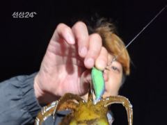 오늘도 키로오버 몬스터와 왕무시들로 65개