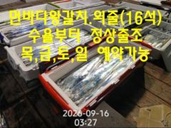 [진해] 월욜 내만갈치 조황/먼바다왕갈치.외줄(16석)=목,금,토,일 예… 사진