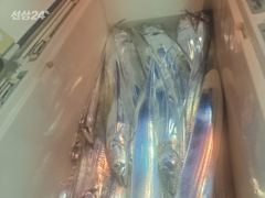 [통영] 수요일 황제낚시 출항확정!