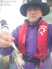 군산쭈꾸미 오늘도 잘 나오네요~실시간~군산낚시프라자 그랜드호 사진