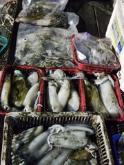 [거제] 야간(무늬오징어) 팁런 바글바글 줄줄이 손맛~대동낚시(23일 예…