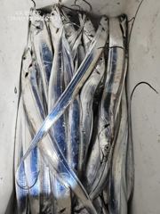 [진해] 내만갈치 버글버글 퍼 담아요 추석 연휴 출항 자리여유