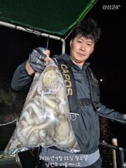 삼천포 야간문어조황! 주간주꾸미, 주야간 문어 매일출조! 사진