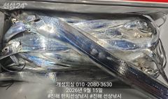 준내만 4지급 텐빈 은빛 갈치 대박 쿨러 가득 조황!! 추석 당일 예약가능