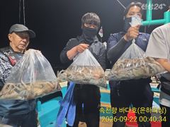 [진해] 문어 내만 문어 씨알급 폭탄 7명 100수 오버 24수 20수 … 사진