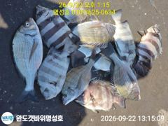 명성호 갯바위조황