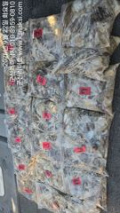 ●군산리더호 대형지퍼백으로 꽉꽉 눌러담았어요.낼자리여유● 사진