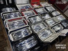 [준내만갈치]씨알급으로만쿨까지~!! 금요일부터 예약가능! 금/일/월/화 자리여유많아요~