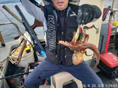 [진해] 문어 호조황 및 문어라면 사진