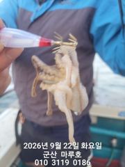 9월 22일 마루호 쭈꾸미 최종조항~☆ 사진