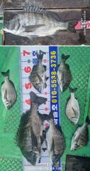 [마산] [바다마을호] 4짜외 감성돔 조황(9/21) 사진