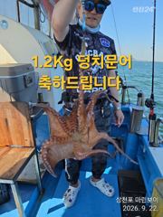 [사천] 삼천포 마린보이 9. 22. 화요일 주간문어 대박 조황으로 다녀… 사진