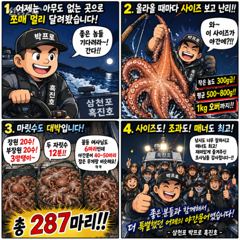 삼천포문어 야간조황｜평균 500~800g 사이즈 대박! 287마리｜삼천포박프로 흑진호 사진