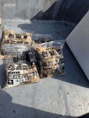 9월22일 장고항 한일호 쭈꾸미 조황사진