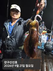 260920 일요일 무늬오징어 조황 장원27 총285 강구신신호 팁런 선상낚시 사진