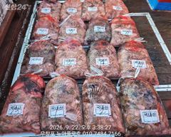 9월22일 무창포뉴아폴로호 대박 쭈꾸미망태기조황 사진