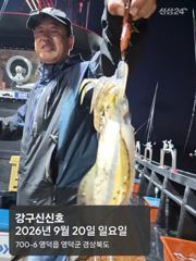 26.0920일요일 무늬오징어 조황 장원27 총285강구신신호 팁런 선상낚시 사진